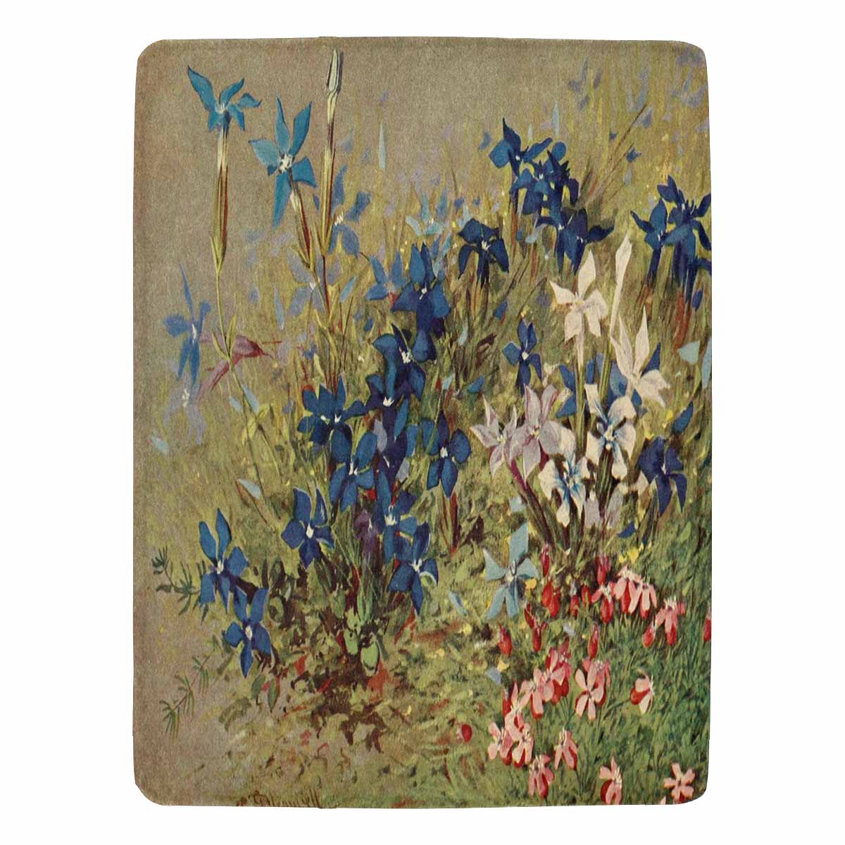 Vintage Floral BLANKET, LARGE 60 in x 80 in, Design 39 C50