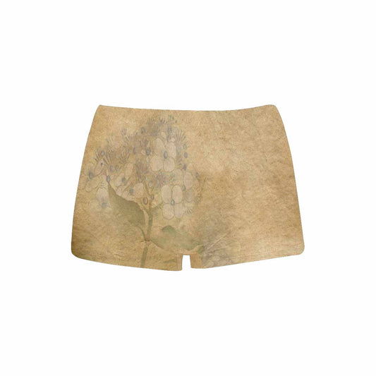 Antique general boyshorts, daisy dukes, pum pum shorts, panties, design 28